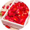 Fresh Rose Petals