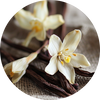 Vanilla