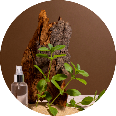 Earthy Musk