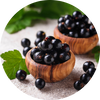 Black Currant