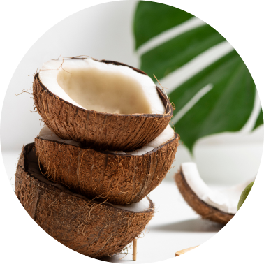 Coconut