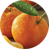  Tangerine