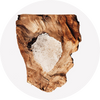  Cashmere Wood