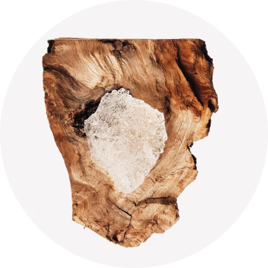Cashmere Wood