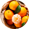  Mandarin