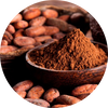  Cacao