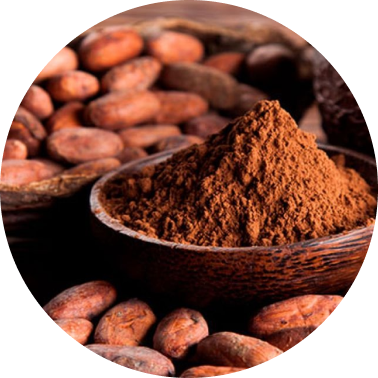 Cacao