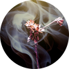  Smoky