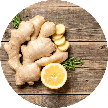 Ginger