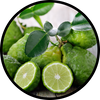 Bergamot
