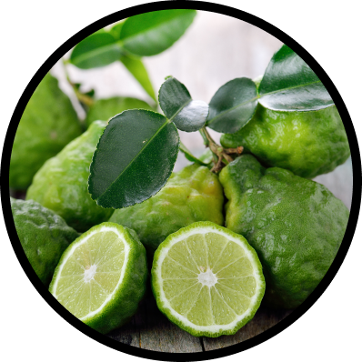 Bergamot
