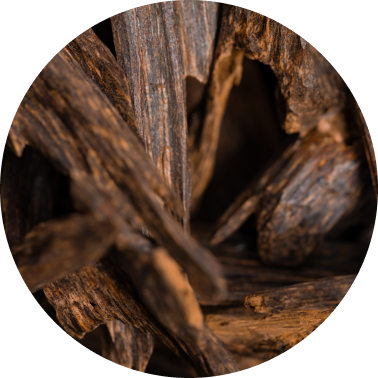 Indian Oud