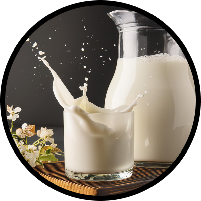 Milk