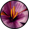 Saffron