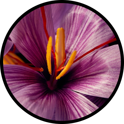 Saffron