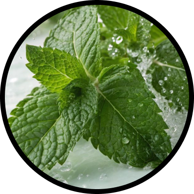 Mint
