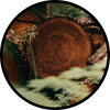  Earthy Woods