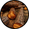 Guaiac Wood