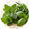  Herbal Freshness