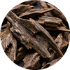 Indian & Cambodian Oud