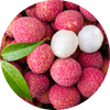  Litchi