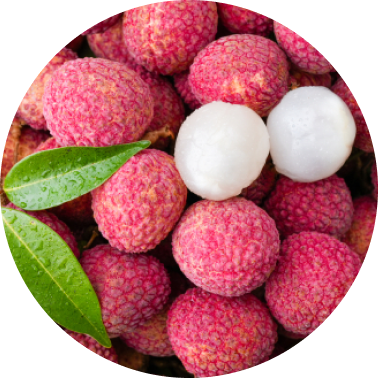 Litchi