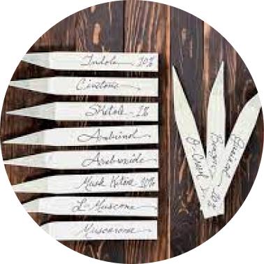 Animalic Notes