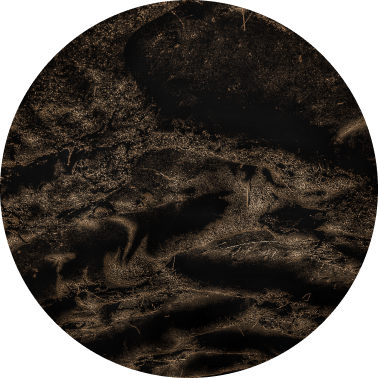 Dark Earth