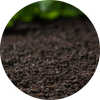  Soft Earth