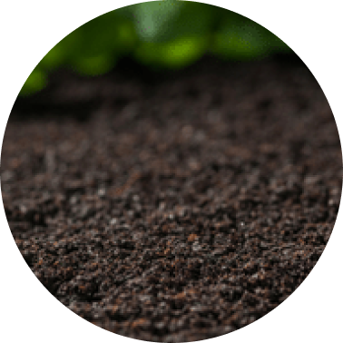 Soft Earth