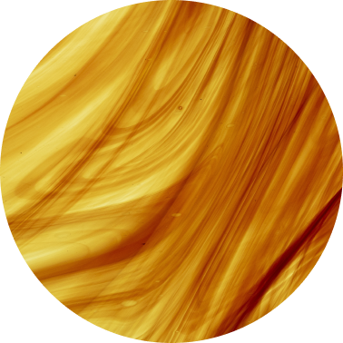 Warm Amber