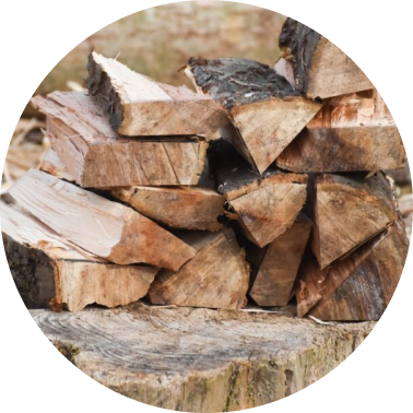 Dry Woods