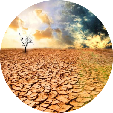  Dry Earth