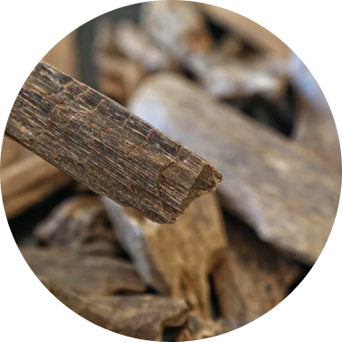 Aged Cambodian Oud