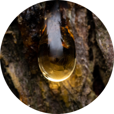 Soft Resin