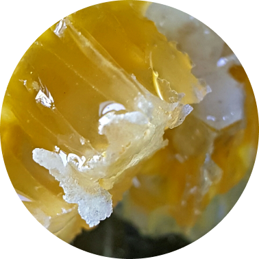  Soft Resin