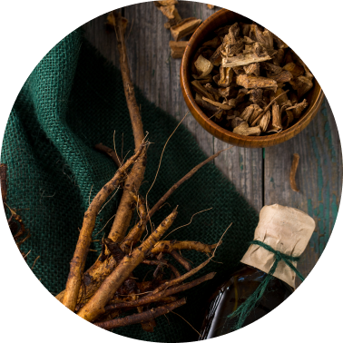 Dry Woods