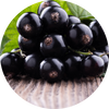  Black Currant