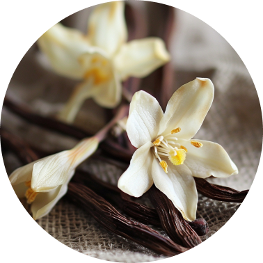 Vanilla