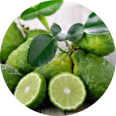 Bergamot