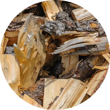 Dry Woods